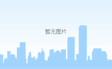 300换向器